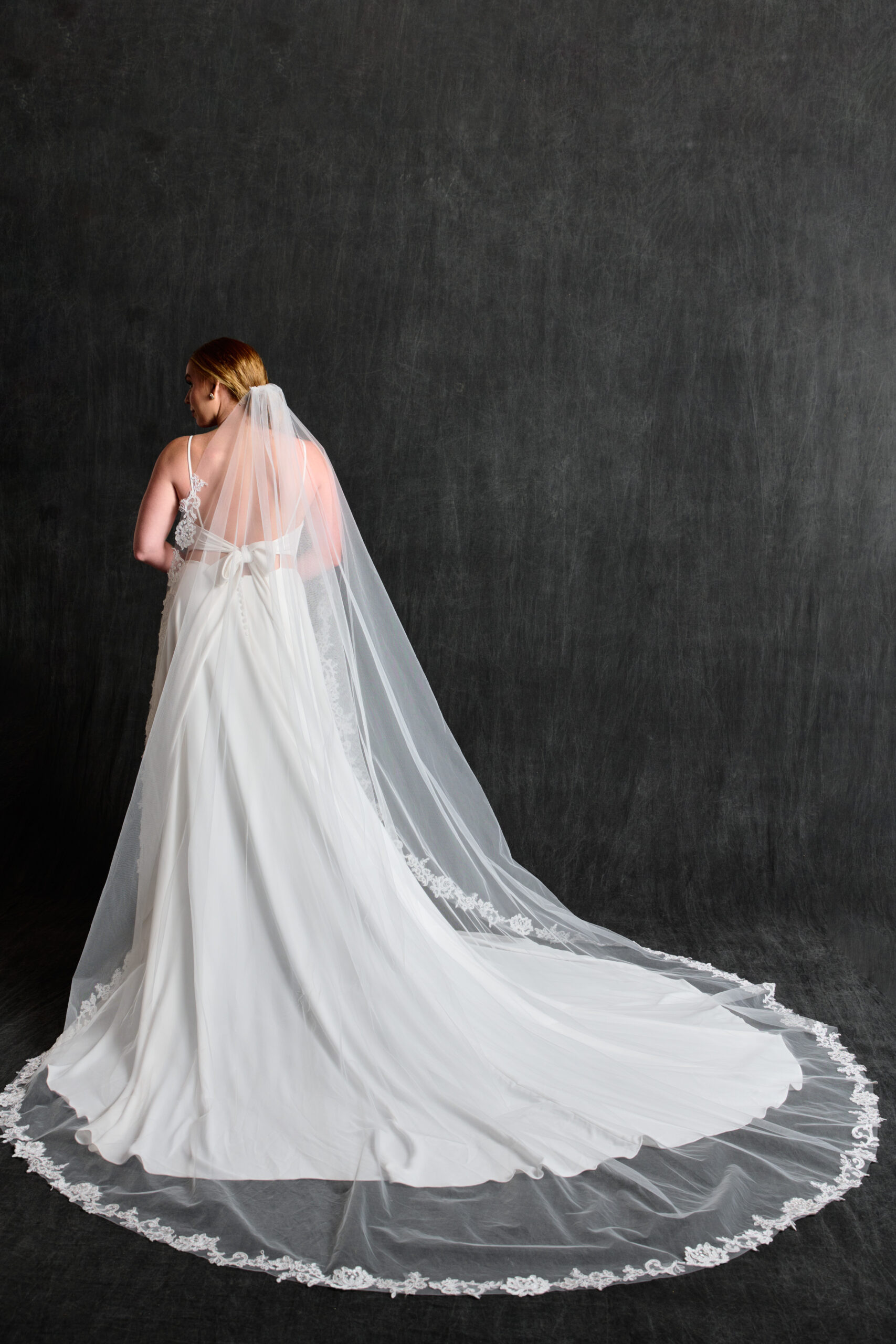 Chapel-Length Veil With Lace Appliques