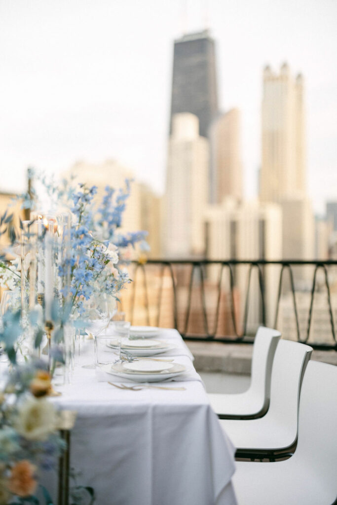 Chicago wedding venues rooftop hotel skyline